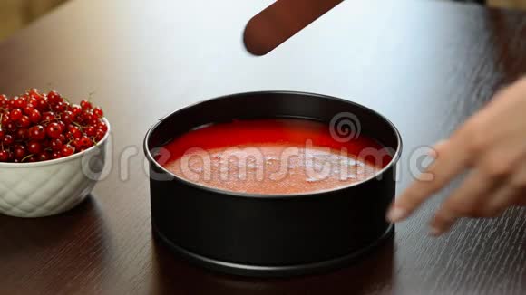 酸奶油芝士蛋糕加红色醋栗一个女人做奶酪蛋糕视频的预览图