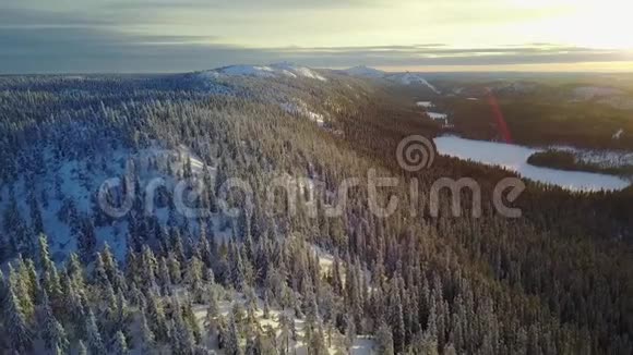 鸟瞰美丽的拉普兰冬季景观日落时的瓦尔塔瓦亚拉奥兰卡国家公园视频的预览图