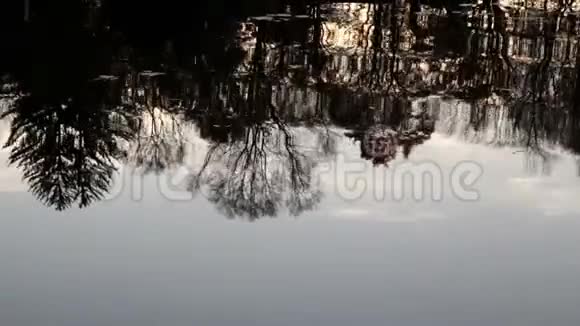 湖中的倒影视频的预览图