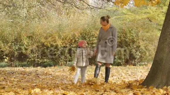 母女俩在秋天公园散步一起漫步在秋林中黄色落叶视频的预览图
