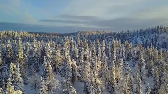 鸟瞰美丽的拉普兰冬季景观日落时的瓦尔塔瓦亚拉奥兰卡国家公园视频的预览图