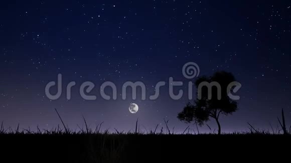 夜空背景下的月亮升起视频的预览图
