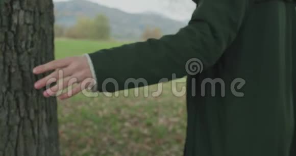后备箱和手的细节白人金发女人斯洛莫走向秋天的树林触摸树在万向节后面视频的预览图