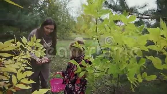 森林里的母女俩找到蘑菇放进篮子里视频的预览图