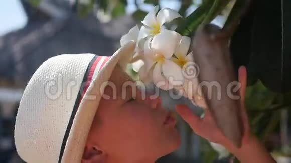 喜欢热带树木开花的人梅子视频的预览图