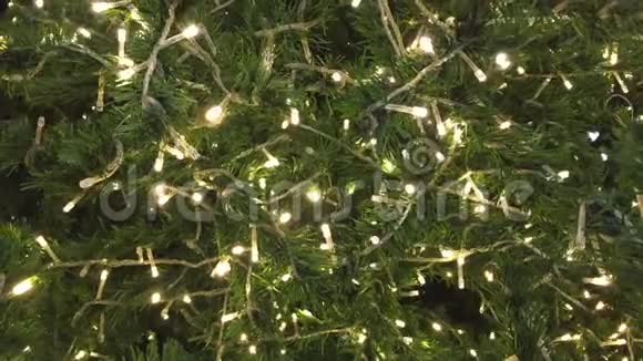 圣诞树上照明的灯光视频的预览图