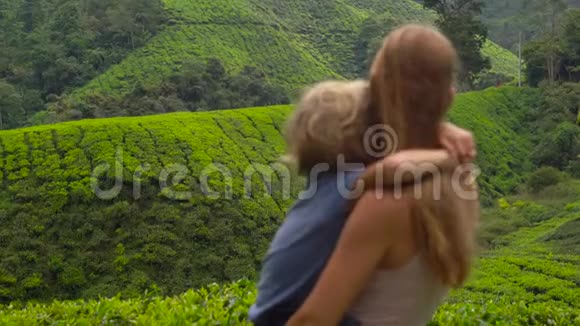 年轻妇女和她的儿子参观高地茶园新鲜茶的概念视频的预览图