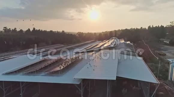 以色列北部用太阳能电池板覆盖的农场的空中镜头视频的预览图