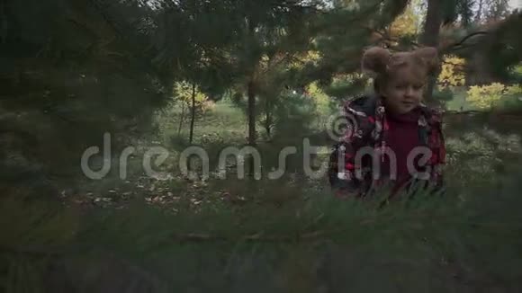 小女孩走在森林里看着松枝视频的预览图