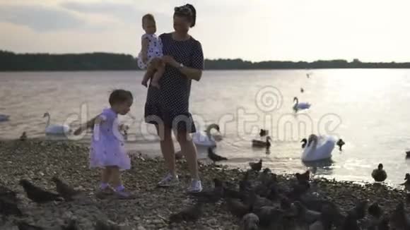 年轻的母亲带着她的小女儿在河边喂天鹅和小鸭子小鸟在河边吃面包穿着点缀的裙子视频的预览图