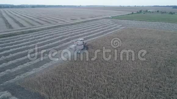 联合收割机的俯视图它在田间工作播种小麦视频的预览图