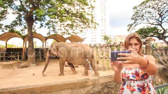 金发女孩在动物园露天笼子里做自拍对抗大象视频的预览图