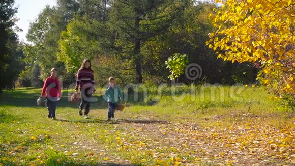 三个快乐的孩子在秋天的森林里散步蘑菇视频的预览图