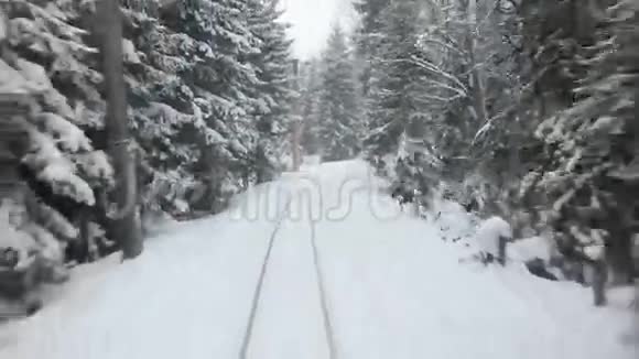 在一列古老的火车上旅行穿过茂密的雪林视频的预览图