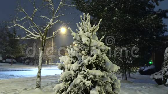 晚上雪城公园里有灯笼雪覆盖的树木和长凳在一个美妙的冬夜的小径视频的预览图
