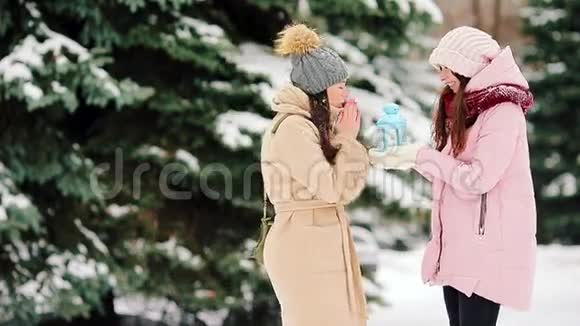 两个年轻女孩在美丽的冬季雪日户外活动视频的预览图