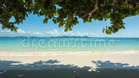 树影下的海滩视频的预览图