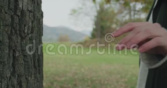 后备箱和手的细节白人金发女人斯洛莫走向秋天的树林触摸树在万向节后面视频的预览图