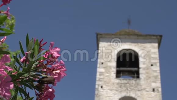 希腊塔索斯神学家教堂塔前的粉红色花朵视频的预览图