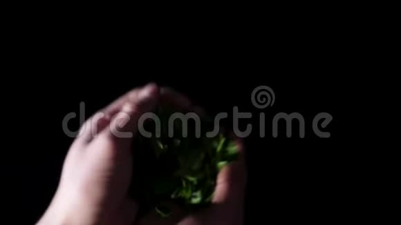欧芹的叶子落在黑色的背景上框架欧芹在框架内摆动欧芹的叶子落到了表面视频的预览图