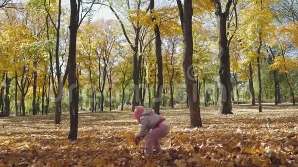 秋天公园里快乐的孩子在户外玩耍视频的预览图