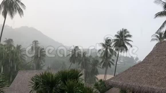苏梅岛沿岸热带大雨视频的预览图