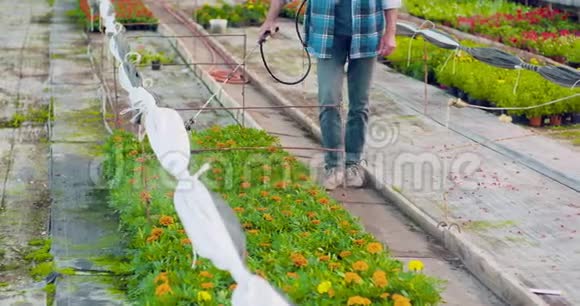 温室花卉喷施农药视频的预览图