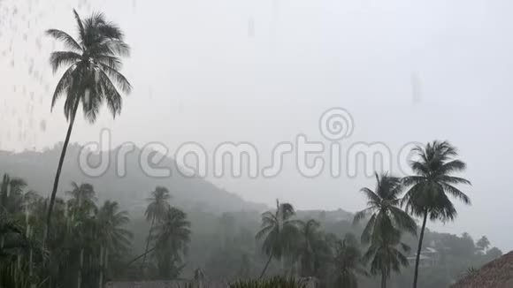 苏梅岛沿岸热带大雨视频的预览图