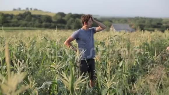 年轻的农民在有机农场的玉米地里站立和休息视频的预览图