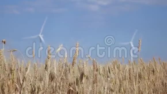 农村风电场背景下的农业田关门视频的预览图