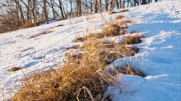 山坡上白雪皑皑的草地视频的预览图