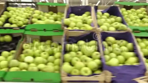 成熟的新鲜绿色苹果在市场货架上出售许多苹果躺在柜台上的纸板箱里视频的预览图