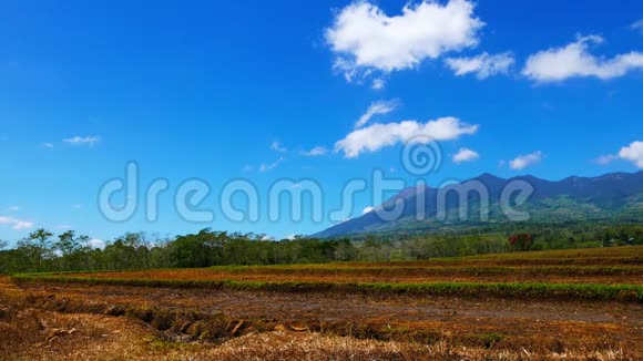 从稻田看Canlaon火山视频的预览图