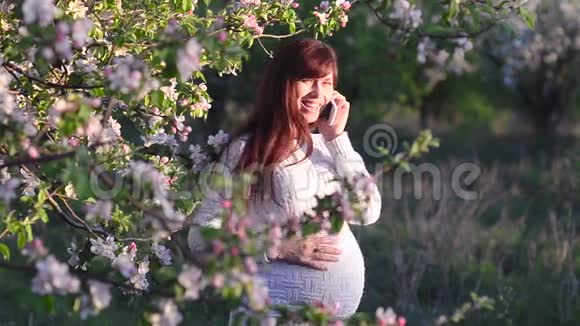 春暖花开的花圃里怀孕的女孩在打电话女孩在盛开的苹果园里散步视频的预览图