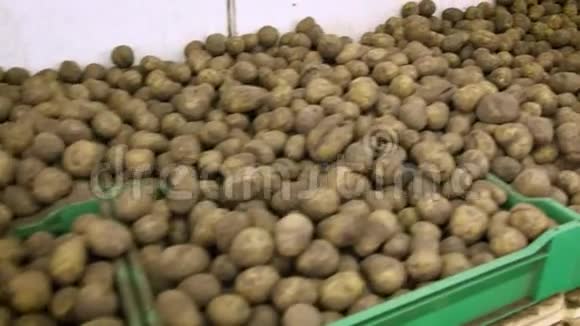 土豆市场许多土豆堆在纸板箱里视频的预览图