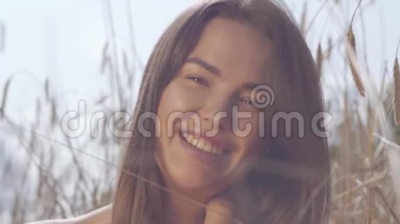 描绘了年轻的快乐女人在令人难以置信的五颜六色的阳光下在麦田里享受自然和阳光可爱自信视频的预览图