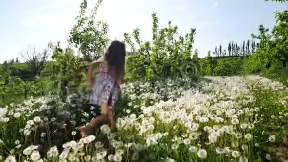 阳光明媚的一天一个女孩带着蒲公英穿过花园慢动作视频的预览图