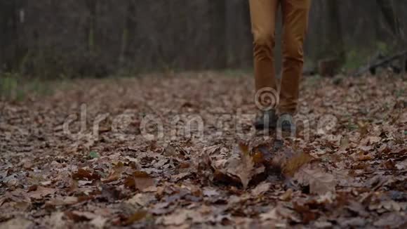 一个人的腿走过秋天的森林把落叶踢得很近慢动作视频的预览图