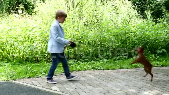 带着狗的小男孩在绿色公园背景下慢动作视频的预览图