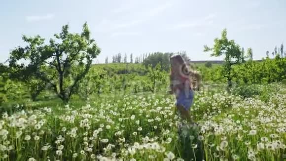 阳光明媚的一天一个女孩带着蒲公英穿过花园慢动作视频的预览图