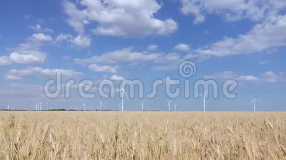 草原带风力发电机的美丽景观全景视频的预览图