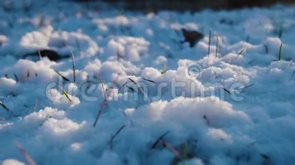 傍晚草地上下雪视频的预览图