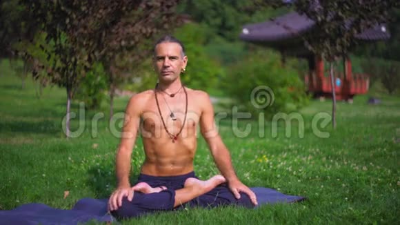 公园瑜伽草地上的男人视频的预览图