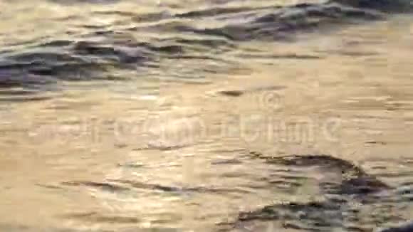 在日落的桑迪海滩上海面掀起了一阵平静的巨浪海水中的太阳反射自然背景晚上视频的预览图