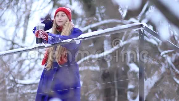 年轻女子享受冬天的风景视频的预览图
