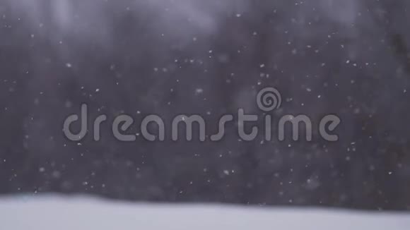 雪花从近景落下背景模糊视频的预览图