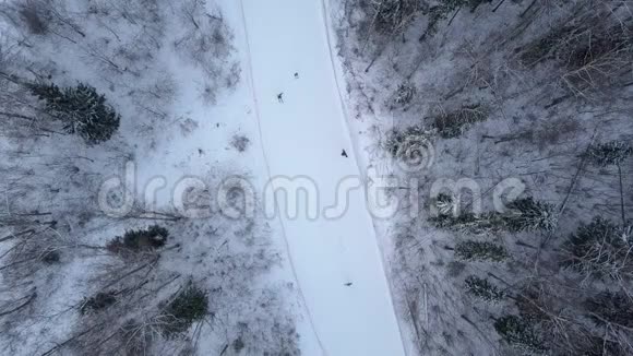 滑雪场雪山上的冬季滑雪板和滑雪冬季假期视频的预览图