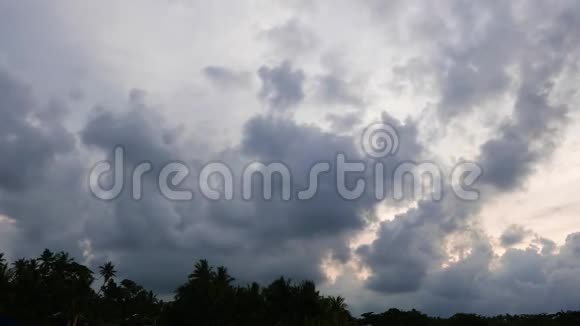 棕榈树上方的云朵05时间流逝视频的预览图