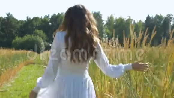 一个穿着白色连衣裙留着长发的年轻女子正带着小麦沿着田野走着视频的预览图