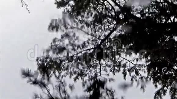 雨滴视频的预览图